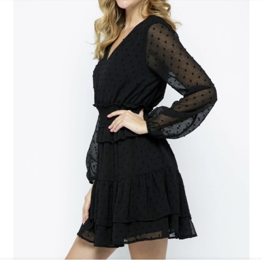 Boutique Dress - sheer sleeve